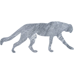 cheetah icon