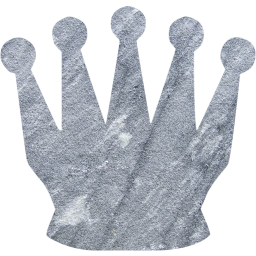 chess 16 icon