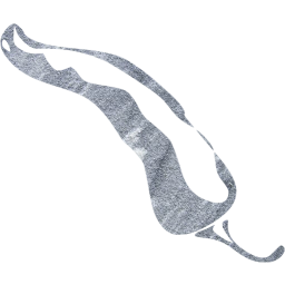 chili pepper 23 icon