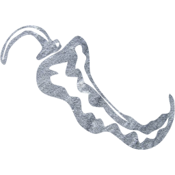 chili pepper 4 icon