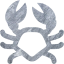crab