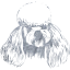 dog 12
