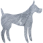 dog 31