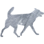 dog 32