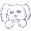 dog 5