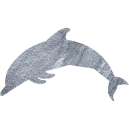 dolphin icon