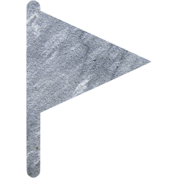 filled flag icon