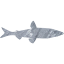 fish 6