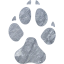 footprints dog