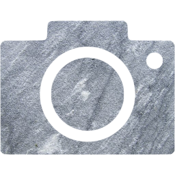 google images icon