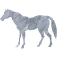 horse 4