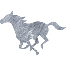 horse icon
