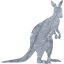 kangaroo