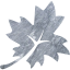 leaf 3