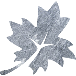 leaf 3 icon