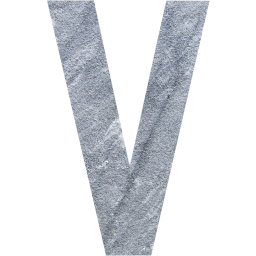 letter v icon