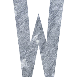 letter w icon