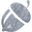nut
