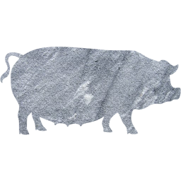 pig 3 icon
