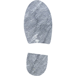 right shoe footprint icon