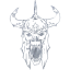 skull 35