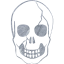 skull 37