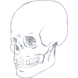 skull 38 icon