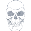 skull 41