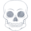 skull 55