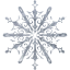 snowflake 10