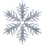 snowflake 16