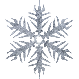 snowflake 16 icon