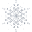 snowflake 24