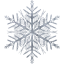 snowflake 37