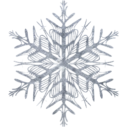 snowflake 37 icon