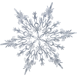 snowflake 41 icon
