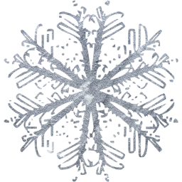 snowflake 49 icon