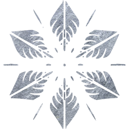 snowflake 5 icon