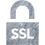 ssl badge 4