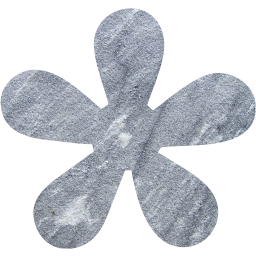 star 19 icon