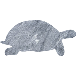 tortoise icon