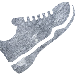 trainers icon