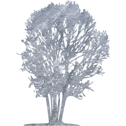 tree 31 icon