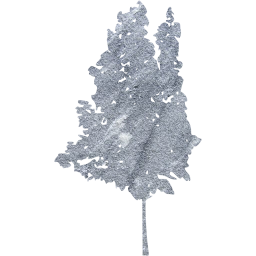 tree 35 icon