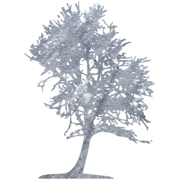 tree 43 icon