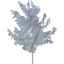 tree 71 icon
