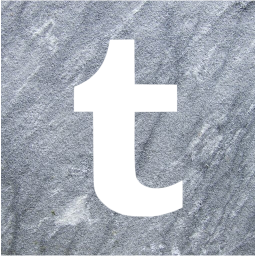 tumblr 2 icon