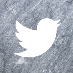 twitter 2 icon