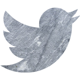 twitter icon