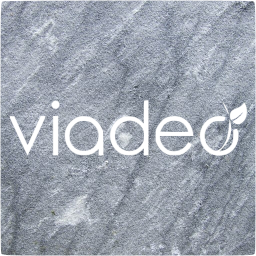 viadeo 4 icon